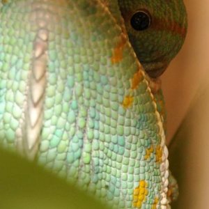 Im watching you