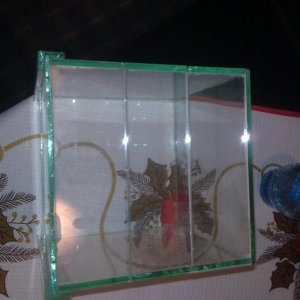terarijum za  tarantulu 15x15x15