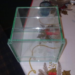 terarijum za  tarantulu 15x15x15